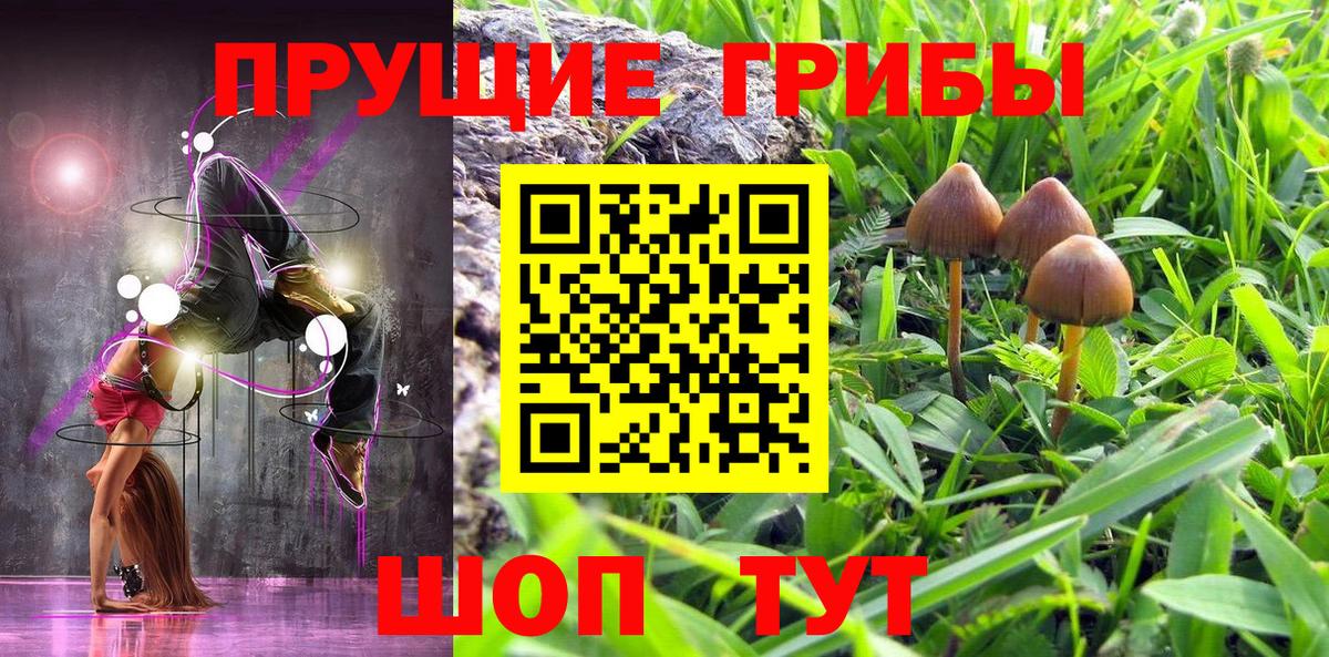 Галлюциногенные грибы Cubensis  Вход с VPN  Псилоцибиновые грибы Psilocybine cubensis  Чита 